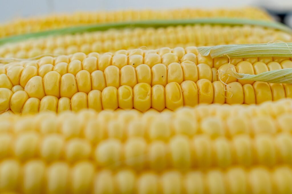 baby corn nutrition