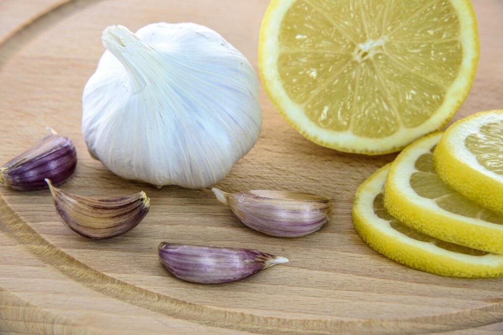 natural antibiotics for dogs